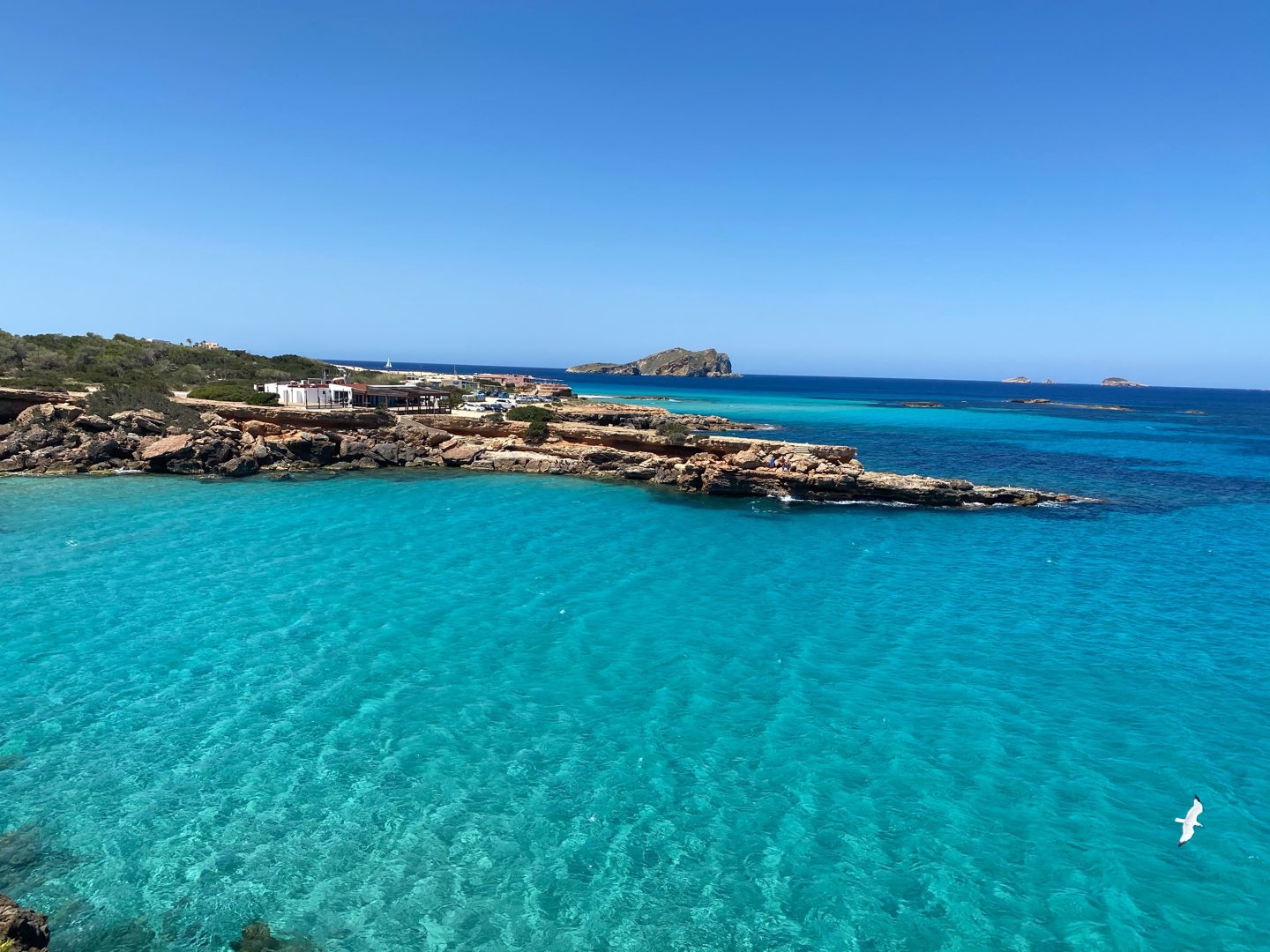 Mar turquesa en la costa de Ibiza